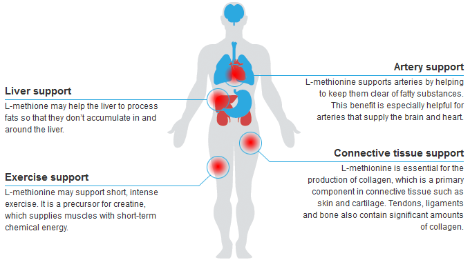 Methylation & Detoxification - Global Recharge